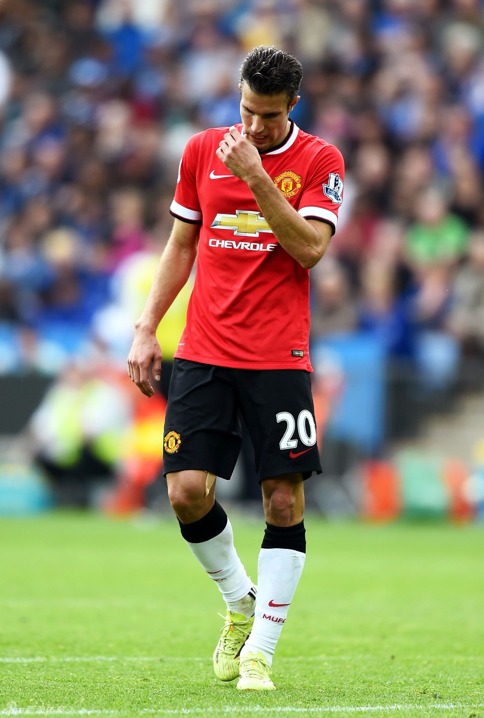 名将归来+新人涌现 中国雪上项目冲击冬奥添信心