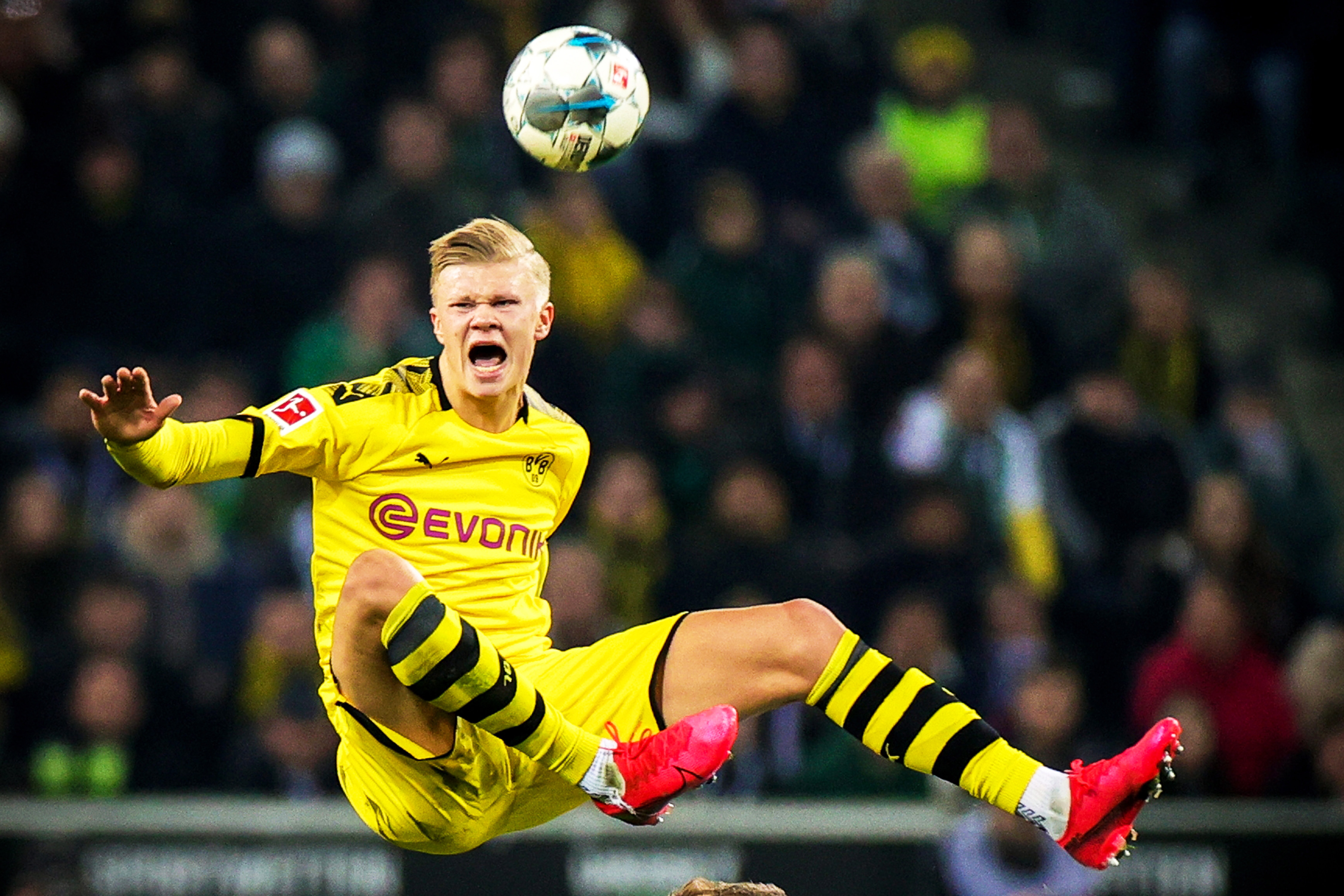 球星赛后采访太有料了